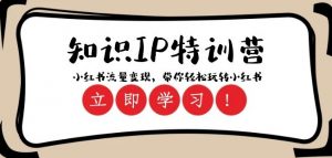 知识IP特训营 :小红书-流量变现,带你轻松玩转小红书(23节视频课)-风淘社