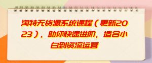 淘特无货源系统课程(更新2023),助你快速进阶,适合小白到资深运营-风淘社