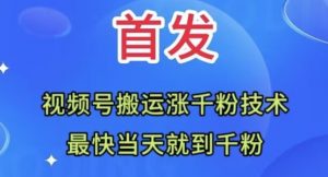 全网首发:视频号无脑搬运涨千粉技术,最快当天到千粉【揭秘】-风淘社