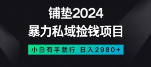 暴力私域捡钱项目，小白无脑操作，日入2980【揭秘】-风淘社