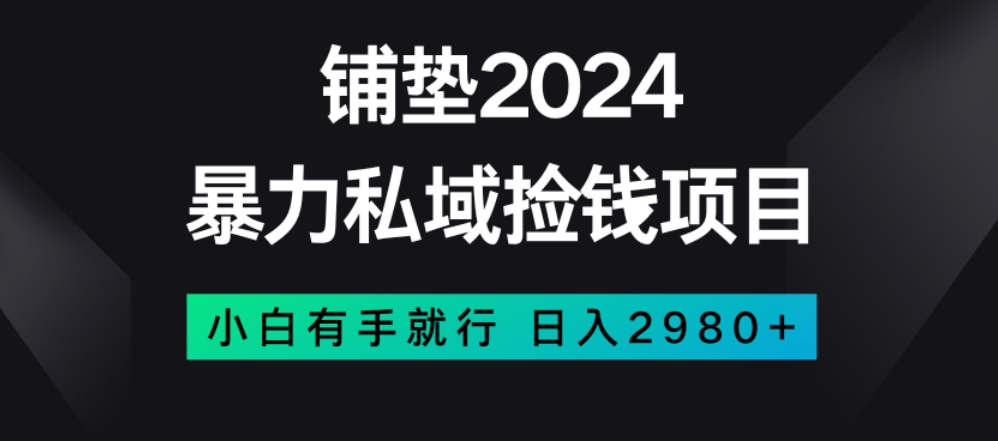 暴力私域捡钱项目，小白无脑操作，日入2980【揭秘】-风淘社