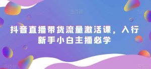 抖音直播带货流量激活课,入行新手小白主播必学-风淘社