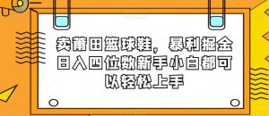 卖莆田篮球鞋,暴利掘金日入四位数新手小白都可以轻松上手【揭秘】-风淘社