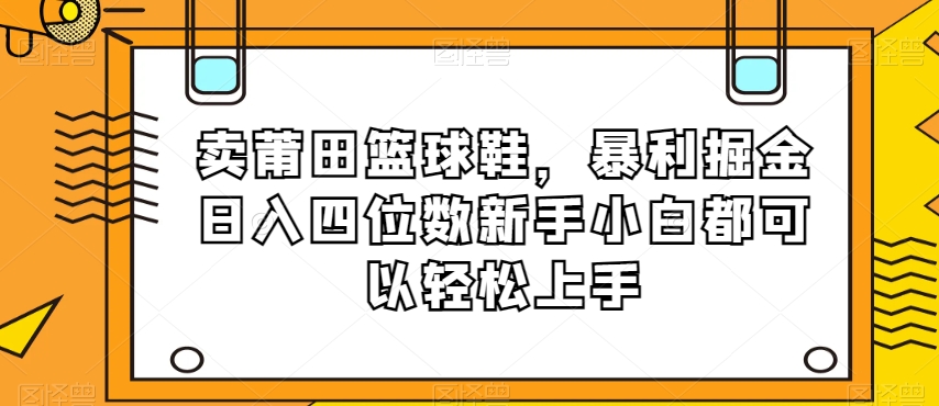 卖莆田篮球鞋,暴利掘金日入四位数新手小白都可以轻松上手【揭秘】-风淘社