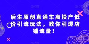 后生原创直通车高投产低价引流玩法，教你引爆店铺流量！-风淘社