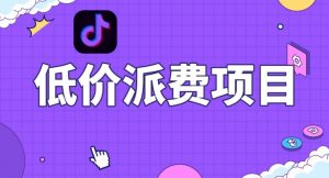抖音低价派单项目,0门槛,日入1000+很轻松,小白可操作【揭秘】-风淘社