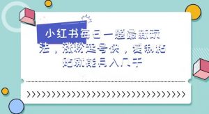 小红书每日一题最新玩法,涨粉起号快,复制粘贴就能月入几千【揭秘】-风淘社
