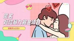 全网首发，揭秘超冷门匿名短信项目，通过信息差日入几百+【揭秘】-风淘社
