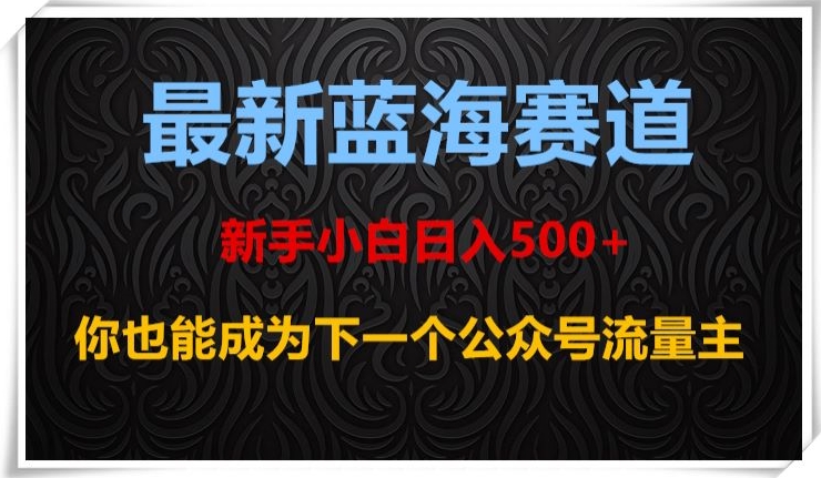 最新蓝海赛道，新手小白日入500+，你也能成为下一个公众号流量主【揭秘】-风淘社