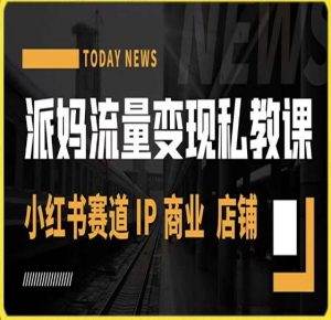派妈流量变现私教课,小红书赛道IP 商业 店铺 -风淘社