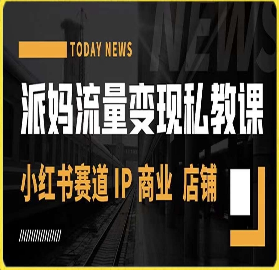 派妈流量变现私教课,小红书赛道IP 商业 店铺 -风淘社
