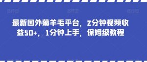 最新国外薅羊毛平台,2分钟视频收益50+,1分钟上手,保姆级教程【揭秘】-风淘社