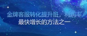 金牌客服转化提升班，利润率最快增长的方法之一-风淘社