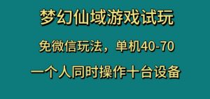 梦幻仙域游戏试玩,免微信玩法,单机40-70,一个人同时操作十台设备【揭秘】-风淘社