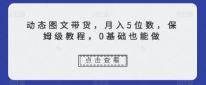 动态图文带货，月入5位数，保姆级教程，0基础也能做【揭秘】-风淘社