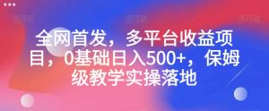 全网首发，多平台收益项目，0基础日入500+，保姆级教学实操落地【揭秘】-风淘社