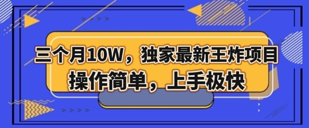 三个月10W,独家最新王炸项目!操作简单,上手极快【揭秘】-风淘社