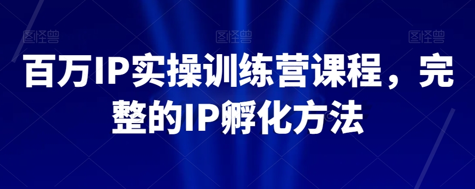 百万IP实操训练营课程，完整的IP孵化方法-风淘社