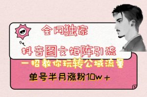 全网独家抖音图文矩阵引流,一招教你玩转公域流量,单号半月涨粉10w+【揭秘】-风淘社