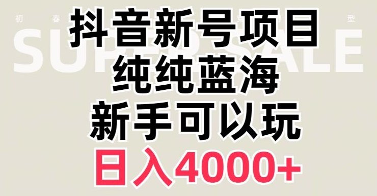 抖音蓝海赛道,必须是新账号,日入4000+【揭秘】-风淘社