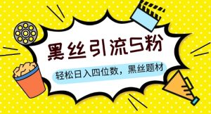 S粉变现,轻松日入四位数,黑丝题材+情感话术【揭秘】-风淘社