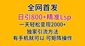 全网首发!日引800+精准老色批,一天变现2000+,独家引流方法,可矩阵操作【揭秘】-风淘社