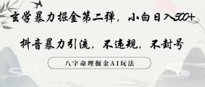 玄学暴力掘金第二弹,小白日入500+,抖音暴力引流,不违规,术封号,八字命理掘金AI玩法【揭秘】-风淘社