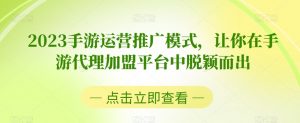 2023手游运营推广模式,让你在手游代理加盟平台中脱颖而出-风淘社