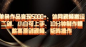 单条作品变现5000+、外网视频搬运二创，小白可上手，10分钟制作爆款高原创视频，矩阵操作【揭秘】-风淘社