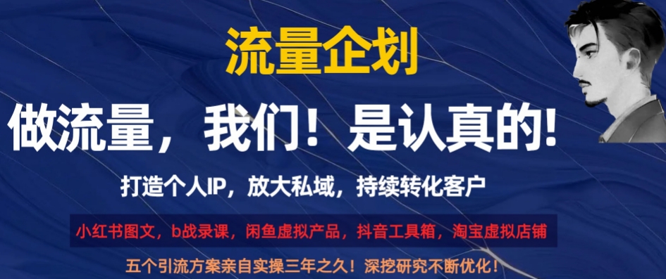流量企划,打造个人IP,放大私域,持续转化客户【揭秘】-风淘社