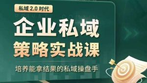 私域2.0时代:企业私域策略实战课,培养能拿结果的私域操盘手-风淘社