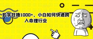 玄学狂撸1000+，小白如何快速跨入命理行业【揭秘】-风淘社
