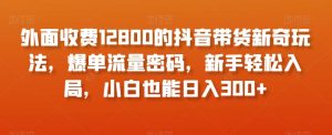 外面收费12800的抖音带货新奇玩法，爆单流量密码，新手轻松入局，小白也能日入300+【揭秘】-风淘社