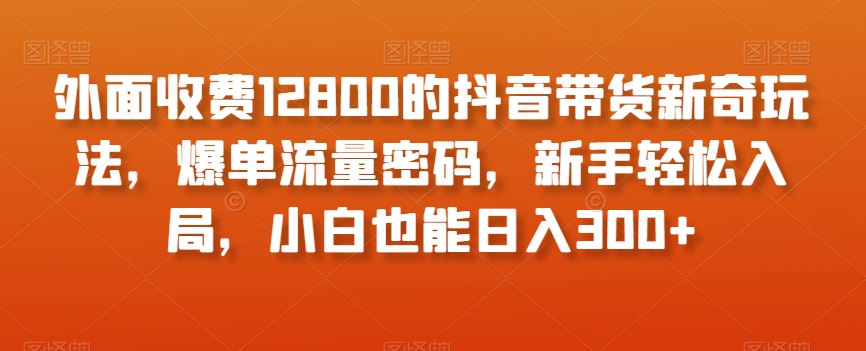外面收费12800的抖音带货新奇玩法,爆单流量密码,新手轻松入局,小白也能日入300+【揭秘】-风淘社