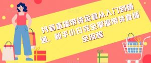 抖音直播带货运营从入门到精通,新手小白完全掌握带货直播全流程-风淘社