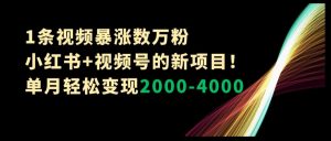 1条视频暴涨数万粉–小红书+视频号的新项目！单月轻松变现2000-4000【揭秘】-风淘社