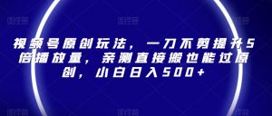 视频号原创玩法，一刀不剪提升5倍播放量，亲测直接搬也能过原创，小白日入500+【揭秘】-风淘社