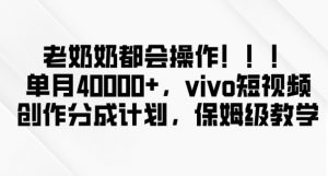 老奶奶都会操作,新平台无脑操作,单月40000+,vivo短视频创作分成计划【揭秘】-风淘社