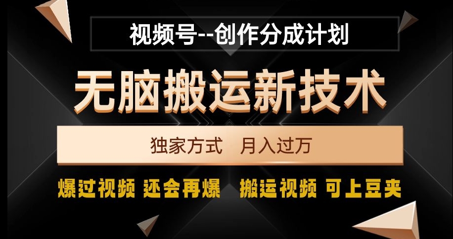 视频号无脑搬运新技术,破原创壕流量,独家方式,爆过视频,还会再爆【揭秘】-风淘社