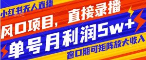 风口项目,小红书无人直播带货,直接录播,可矩阵,月入5w+【揭秘】-风淘社