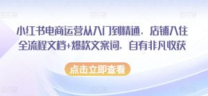 小红书电商运营从入门到精通,店铺入住全流程文档+爆款文案词,自有非凡收获-风淘社