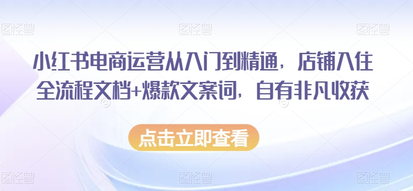 小红书电商运营从入门到精通,店铺入住全流程文档+爆款文案词,自有非凡收获-风淘社