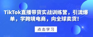 TikTok直播带货实战训练营,引流爆单,学跨境电商,向全球卖货!-风淘社