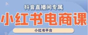 小红书电商高级运营课程,实操教学+案例分析-风淘社