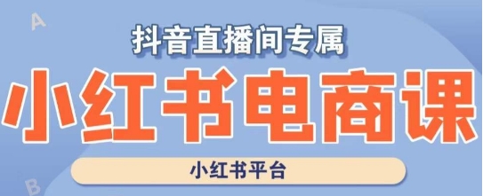 小红书电商高级运营课程，实操教学+案例分析-风淘社