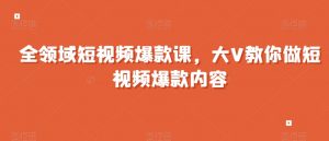 全领域短视频爆款课,全网两千万粉丝大V教你做短视频爆款内容-风淘社