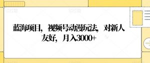 蓝海项目,视频号动漫玩法,对新人友好,月入3000+【揭秘】-风淘社