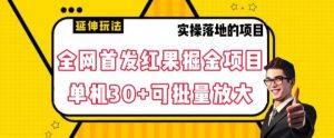 全网首发红果免费短剧掘金项目,单机30+可批量放大【揭秘】-风淘社