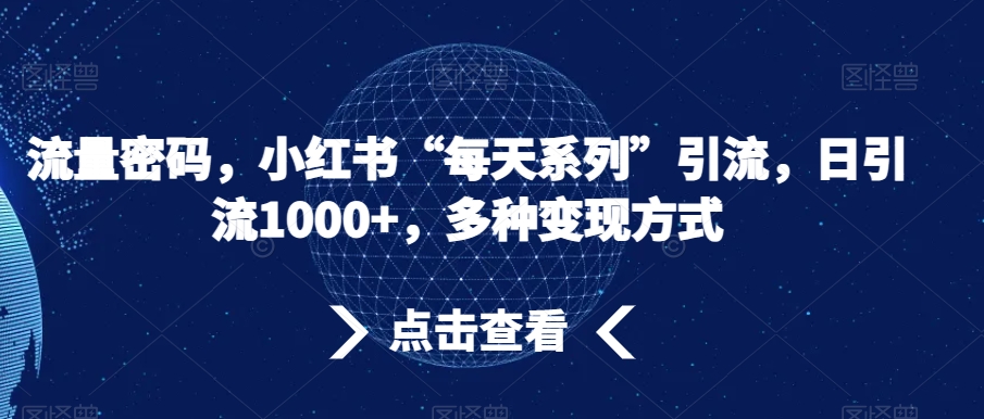 流量密码,小红书“每天系列”引流,日引流1000+,多种变现方式【揭秘】-风淘社