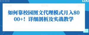 如何靠校园图文代理模式月入8000+!详细剖析及实战教学【揭秘】-风淘社